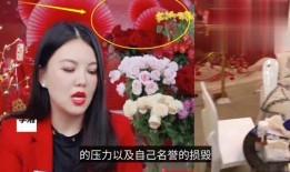 名星最新爆料视频播放,最新爆料视频深度解析